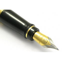 STYLO PLUME (M) expert Laque noire GT de WATERMAN