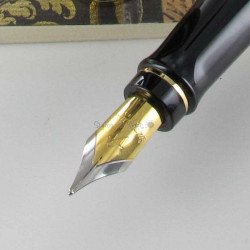 STYLO PLUME (M) expert Laque noire GT de WATERMAN®