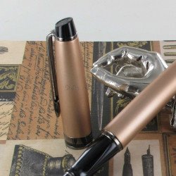 Stylo Plume Moyenne WATERMAN® Expert Métal RT Rose Doré