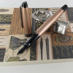 Stylo Plume Moyenne WATERMAN® Expert Métal RT Rose Doré