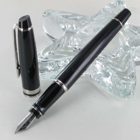 Stylo Plume WATERMAN® Expert Laque noire CT