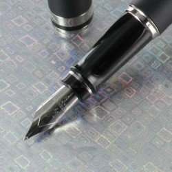 Waterman Expert stylo plume  noir brillant avec attributs dorés à