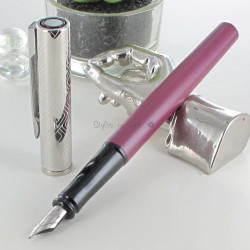 Stylo plume Waterman Acier chromé brillant plume fine : Chez  Rentreediscount Fournitures scolaires