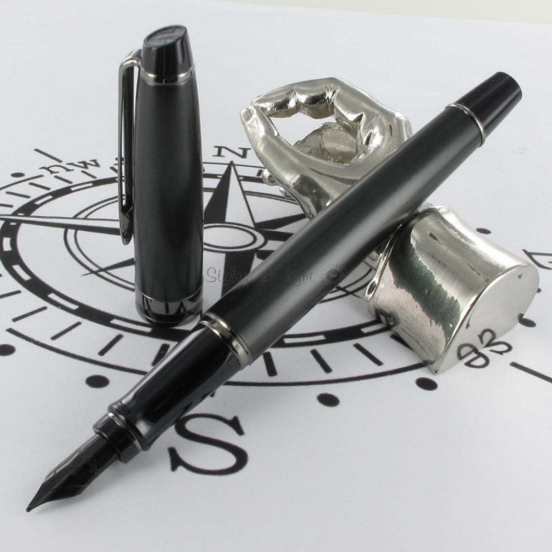 Stylo Plume Moyenne WATERMAN® Expert Métal RT Noir