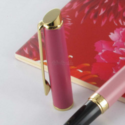 Stylo Plume Fine WATERMAN® Hémisphère Colour Pink