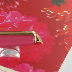 Stylo Bille WATERMAN® Hémisphère® Colour Blocking Pink