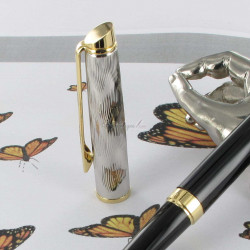 Stylo Roller WATERMAN® Hémisphère "Reflets de Paris" Laque Noire GT